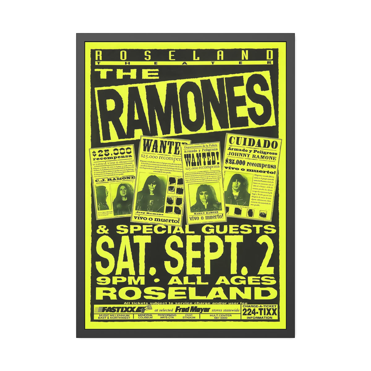 The Ramones Concert Poster V