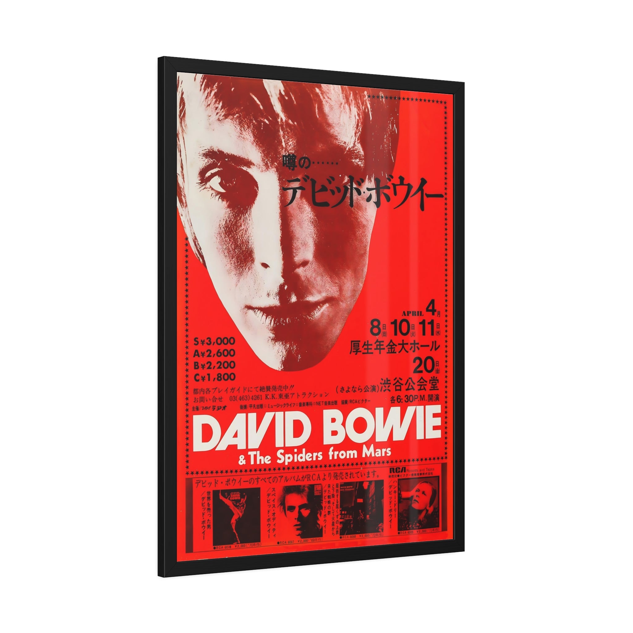David Bowie & The Spiders From Mars Concert Poster