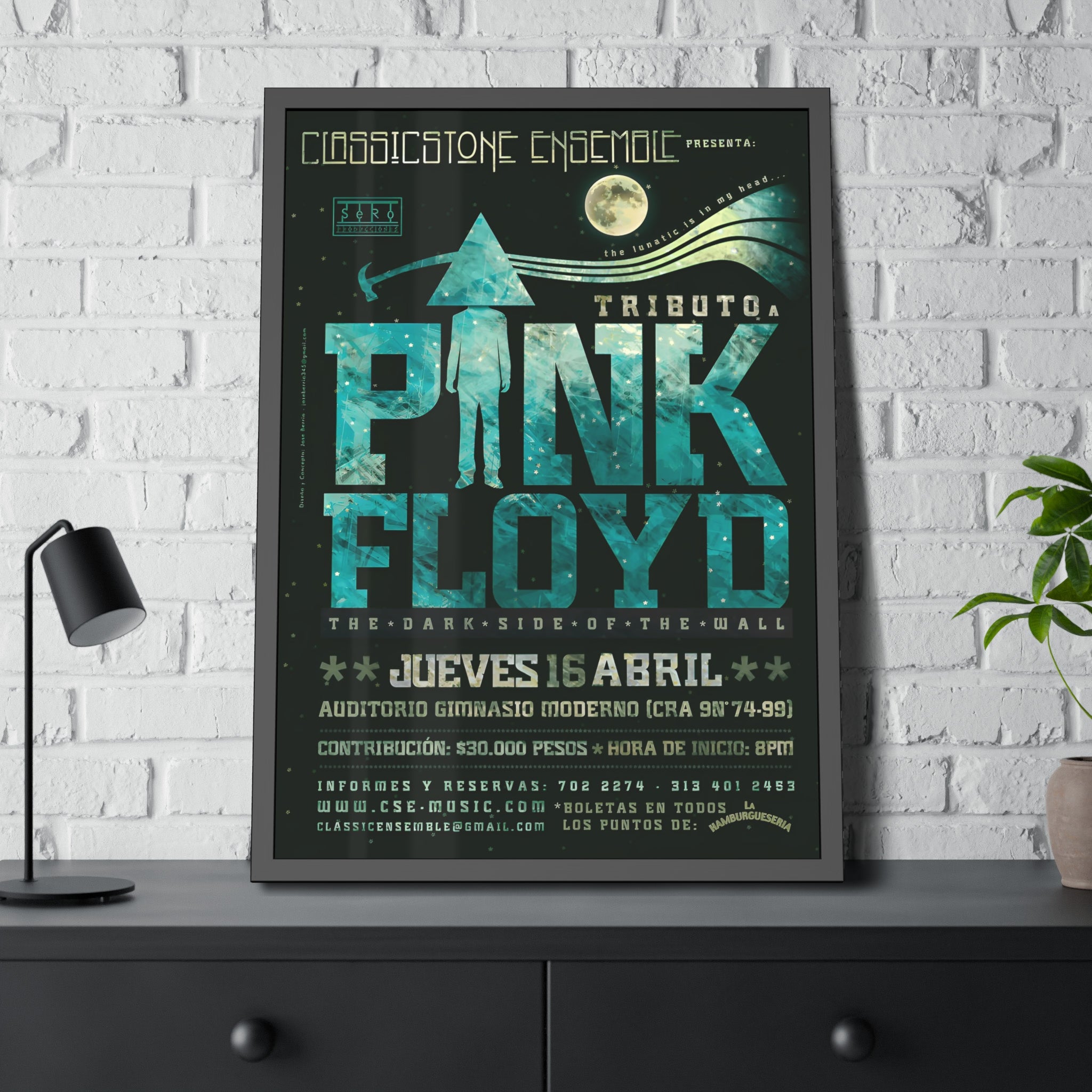 Pink Floyd Concert Poster XI