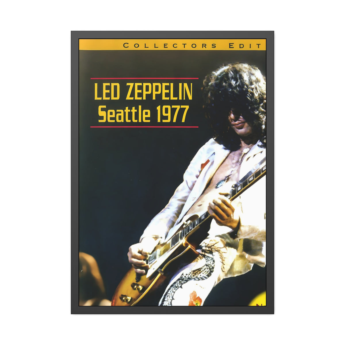Led Zeppelin Concert Poster V