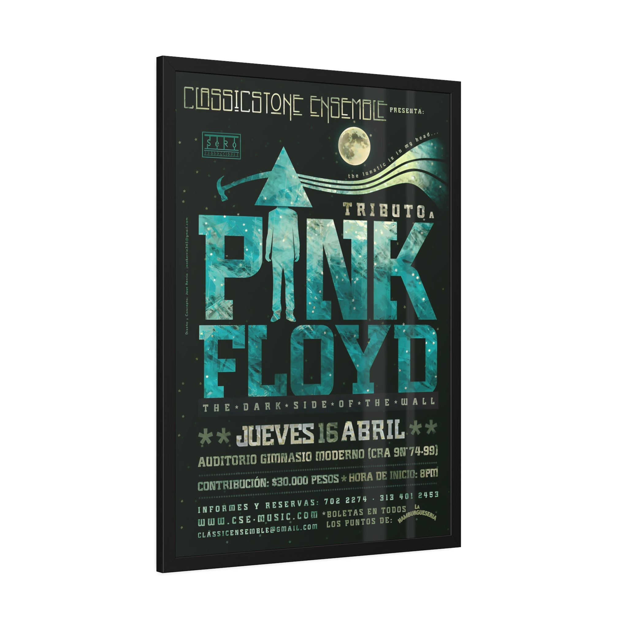 Pink Floyd Concert Poster XI
