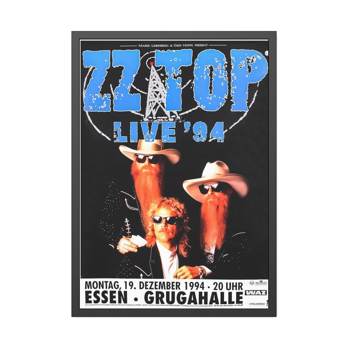 ZZ Top Live 94 Concert Poster