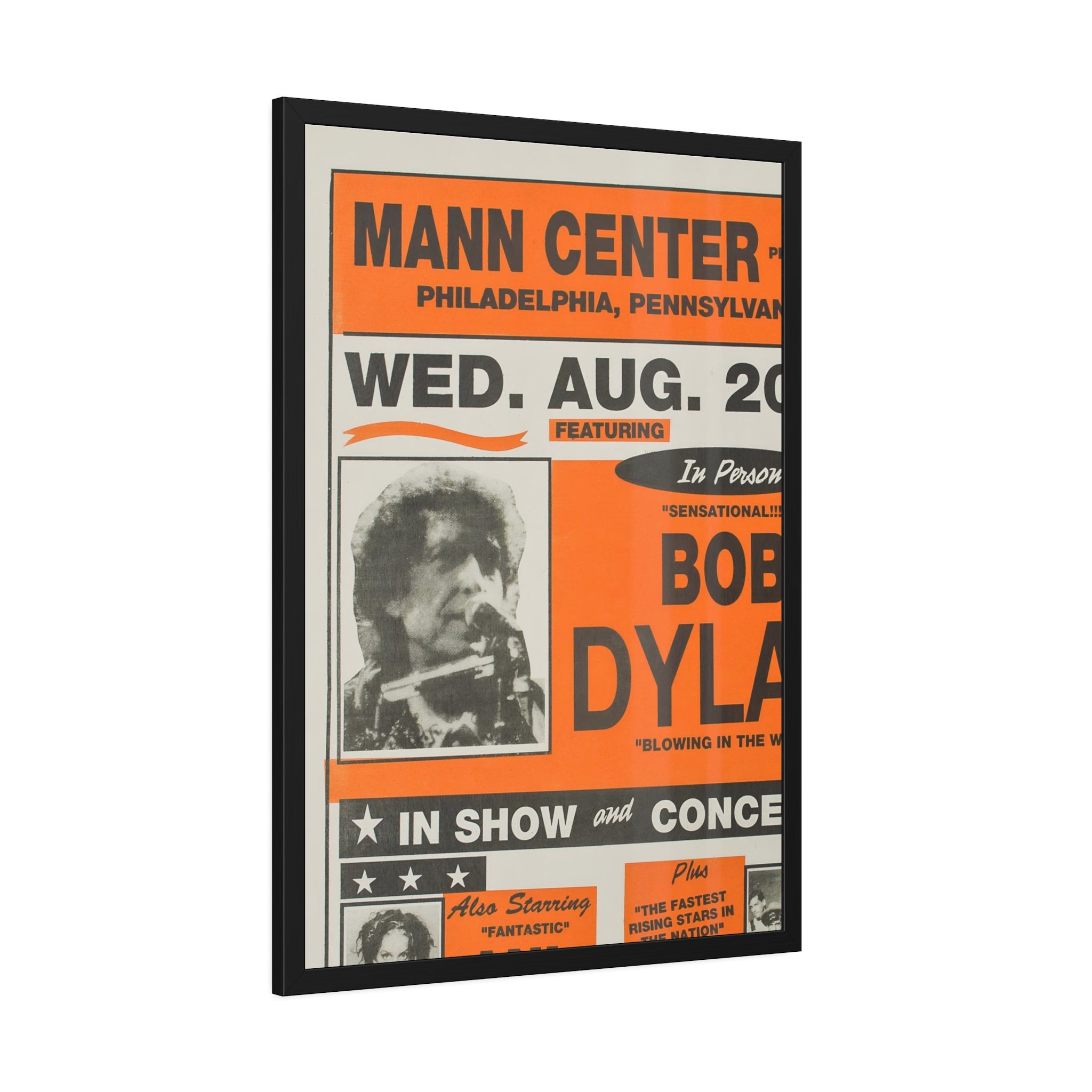 Bob Dylan Concert Poster